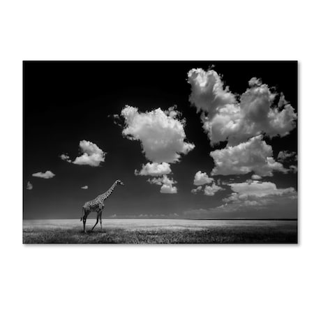 Alberto Ghizzi Panizza 'Gone With The Clouds' Canvas Art,16x24